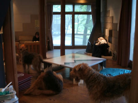 DSCF2733.jpg