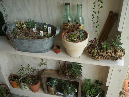 DSCF2792.jpg
