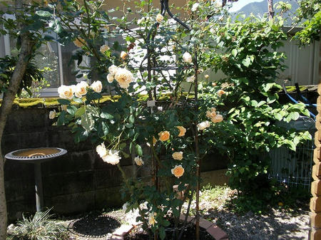 ba0027.jpg