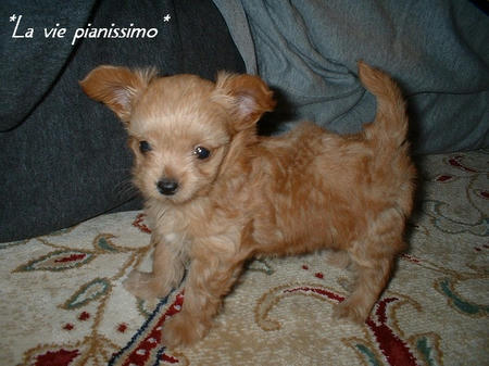 DSCF0006.jpg