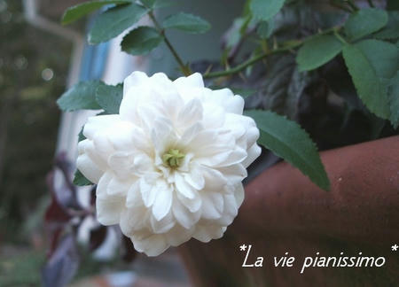 DSCF2823.jpg