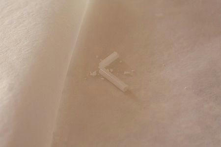 IMG_5569.jpg