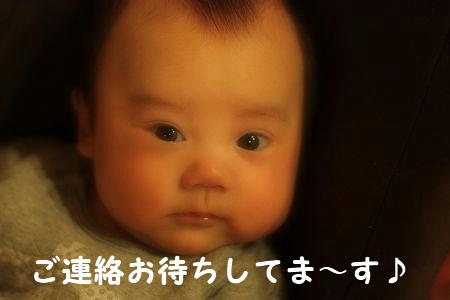IMG_6681.jpg