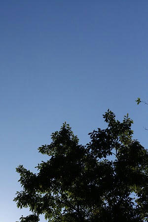 IMG_6700.jpg