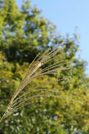 IMG_6714.jpg