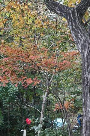 IMG_6839.jpg