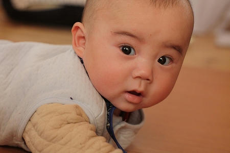 IMG_7907.jpg