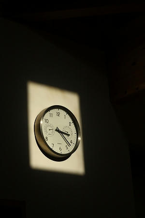 IMG_7870.jpg
