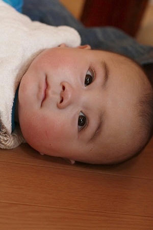 IMG_8213.jpg
