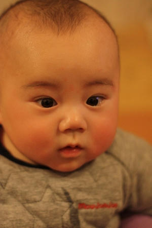 IMG_8262.jpg
