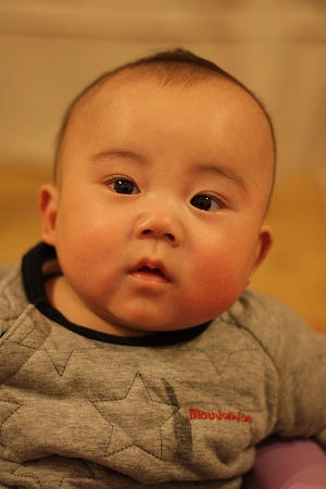 IMG_8265.jpg