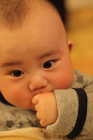 IMG_8283.jpg