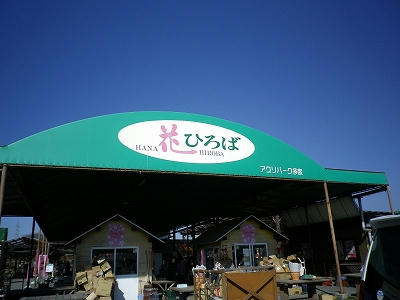 IMGP0592.jpg