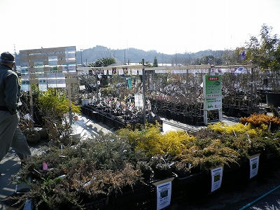 IMGP0601.jpg