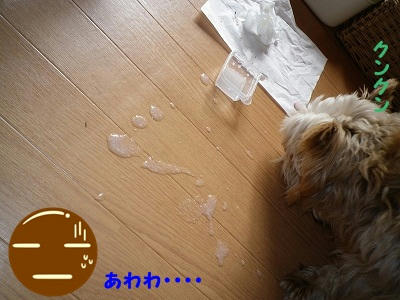 IMGP0620.jpg