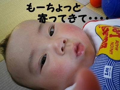 IMGP0674.jpg