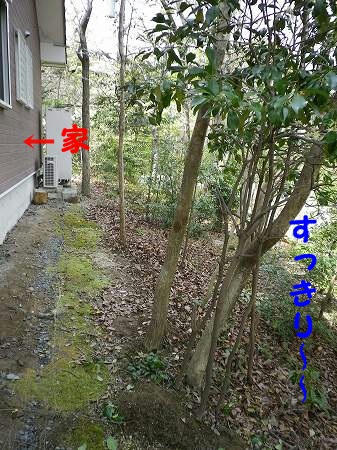 IMGP0767.jpg