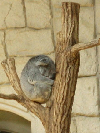 IMG_9778.jpg