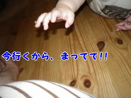 IMGP0806.jpg