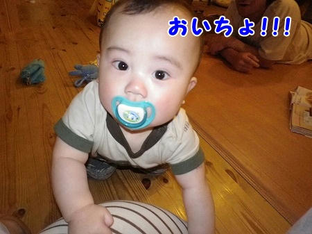 IMGP0808.jpg