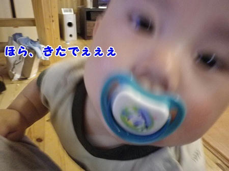 IMGP0810.jpg