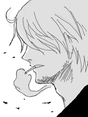 sanzi.png