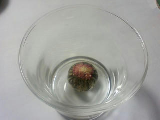 tea02.jpg