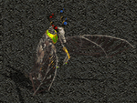 3995ff70.png