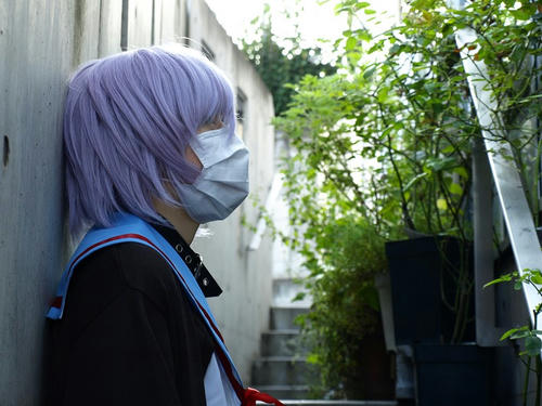 _8214024_test1.jpg