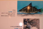 牧野４