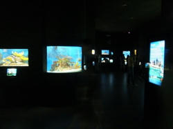 Aquarium.jpg