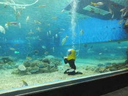 Aquarium2.jpg