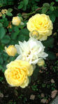 F1000280.JPG