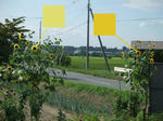 DSCF1487.jpg