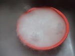 s-DSCF1607.jpg