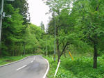 IMAG0007_600.jpg