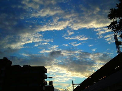 SN3S0552.JPG