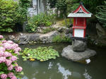 P1060200.JPG