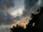 060707木と空
