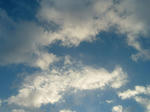 1/4空