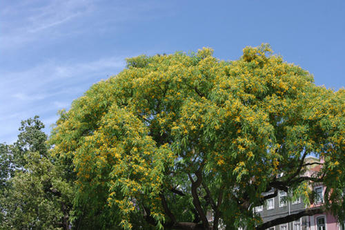 IMGP0182.JPG
