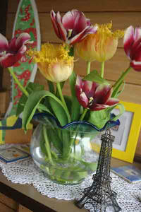 IMGP0001.jpg