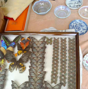P1000022.jpg