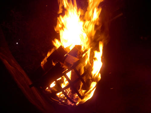 P1000275.JPG
