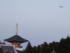 飛行機で場所は察して下さい…笑