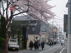 この学校は、昨年の同じ時期にも来てました