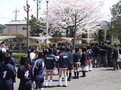 桜もまた綺麗でした♪