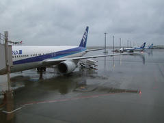 生憎の天気…奥には、旧全日空塗装の飛行機が…