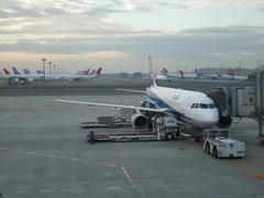 朝６時台の羽田空港にて…