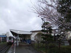 仙崎駅にて…桜がもうすぐ！
